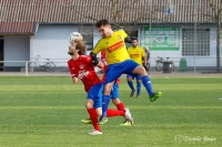 25.11.2018: TV Spöck II - SG Stupferich II