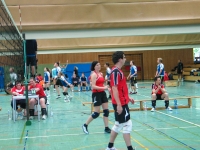 Volleyballturnier 2014_5