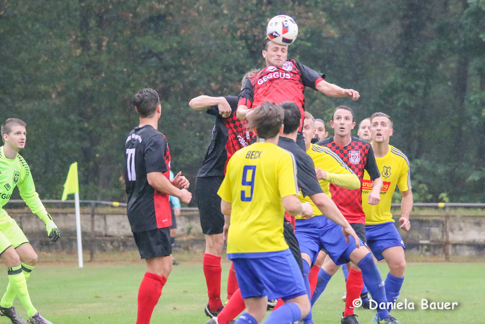 FVgg Weingarten - TV Spöck_12