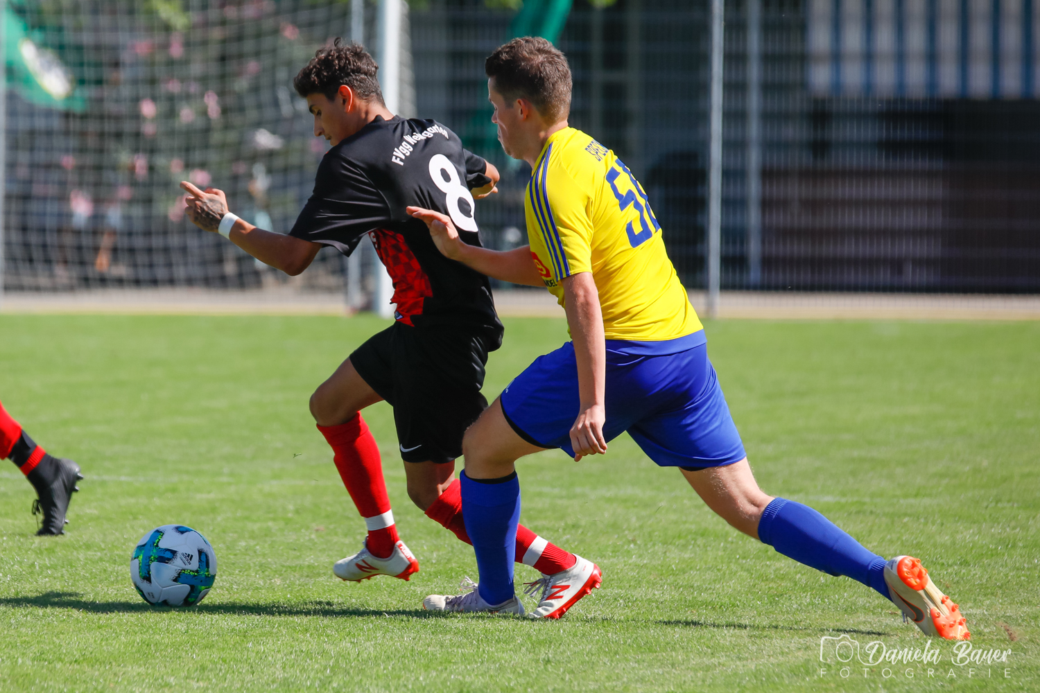 TV Spöck II - FVGG Weingarten II_2