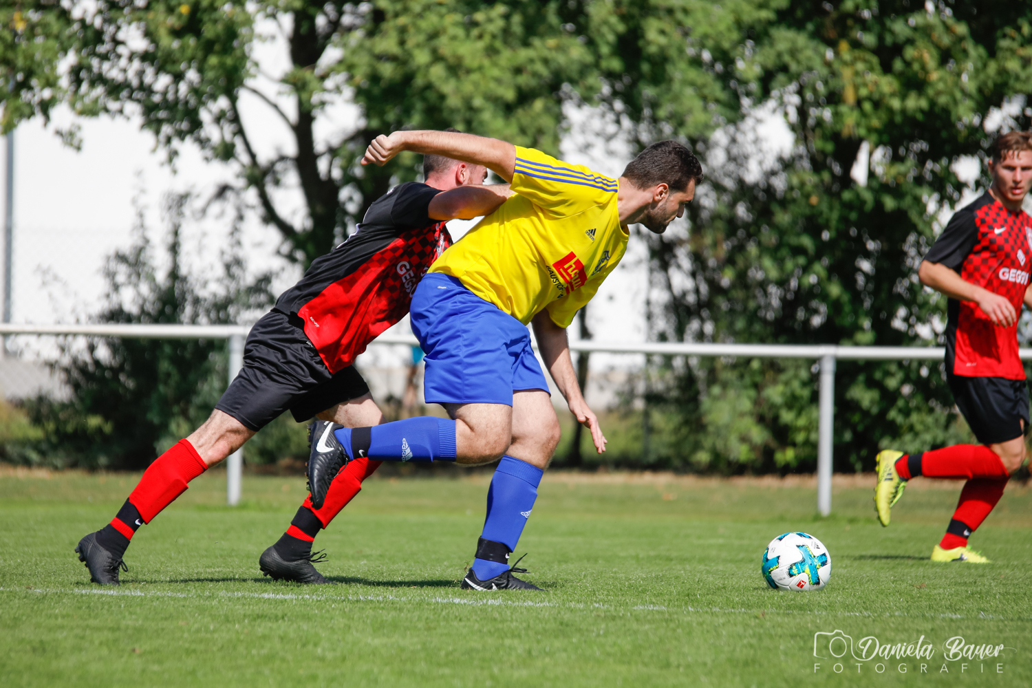 TV Spöck II - FVGG Weingarten II_9