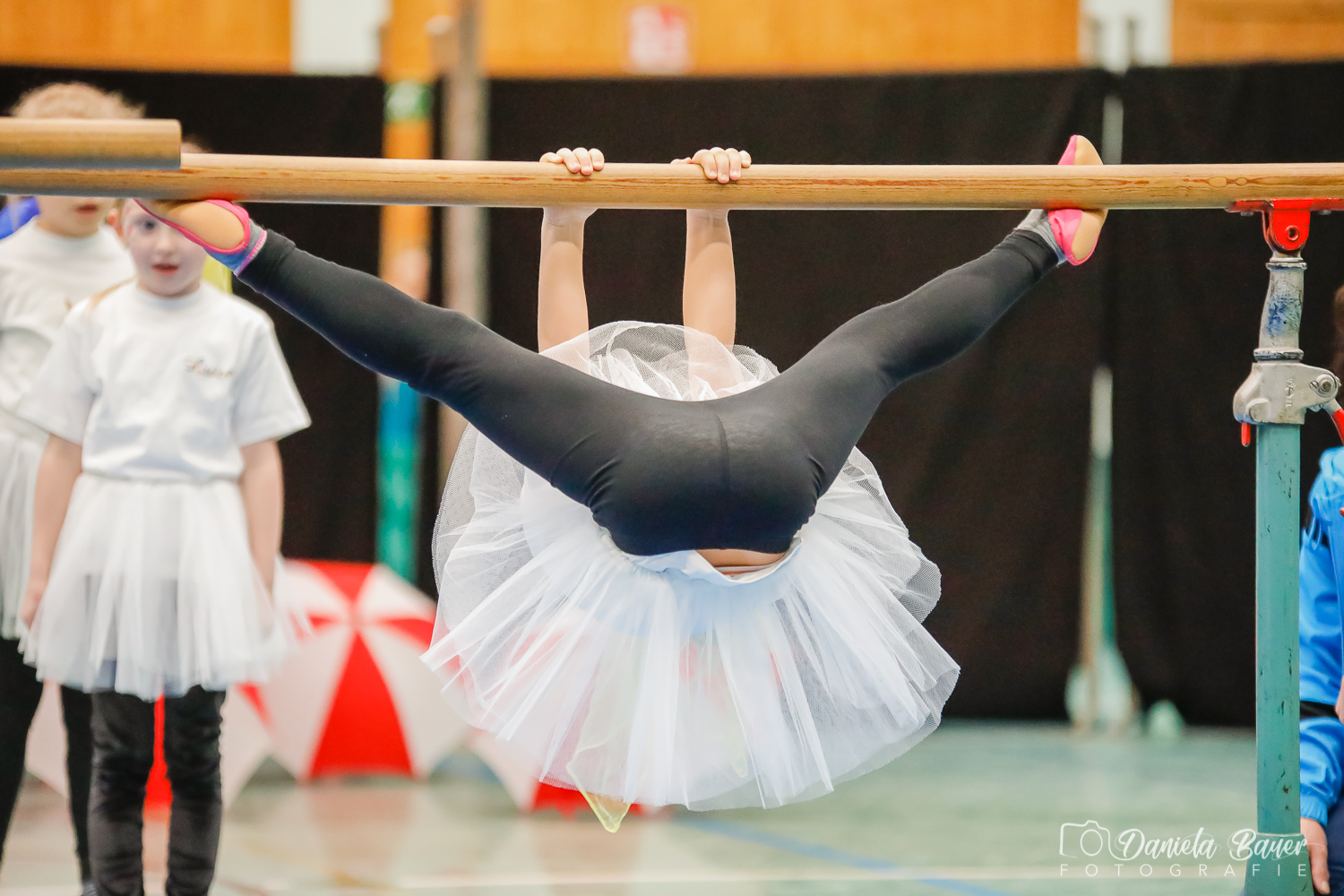 Kleine Feen in den Zweigen_17