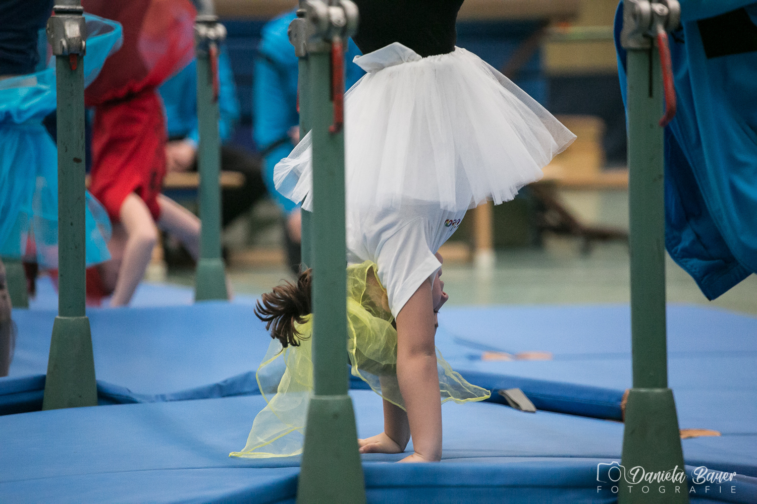 Kleine Feen in den Zweigen_18