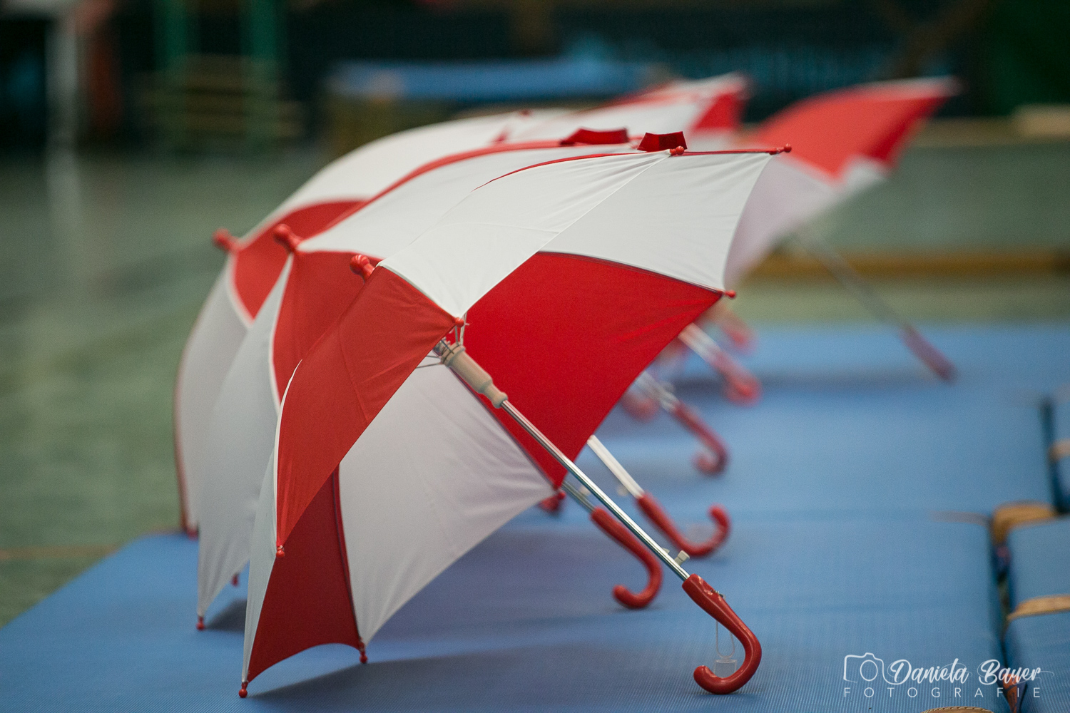 Kleine Feen in den Zweigen_65